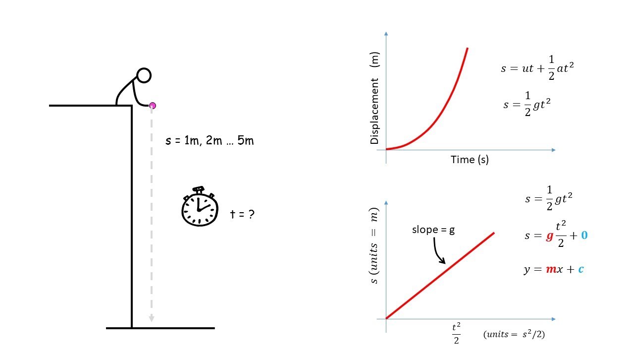 Graphing Your Freefall Experiment Data YouTube