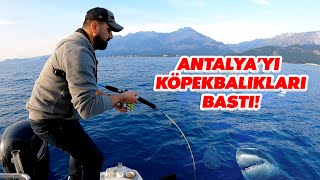 İnanılmaz Bir Gün / Antalya'yı Canavarlar Bastı !!