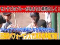 【衝撃】巨人に新風！モンテスはあまりにも優秀だったので巨人の選手たちに衝撃を与えました！独立リーグ交流戦で連続安打＆守備でも大活躍！「状態１００％」で球宴明け１軍昇格準備！