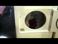 Bear creek sanctuary  whats in the dryer