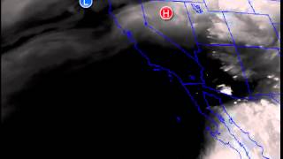 Rex Block in Action Information