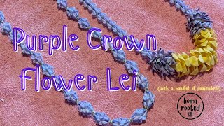 Purple Crown Flower Lei