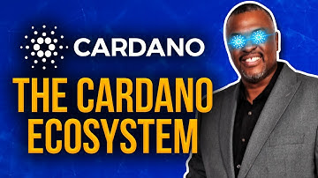 Why All The Cardano Fud? | MuesliSwap Dex Live