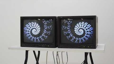 "Ammonite" video artwork by Disinformation, Passengers Offsite 2018