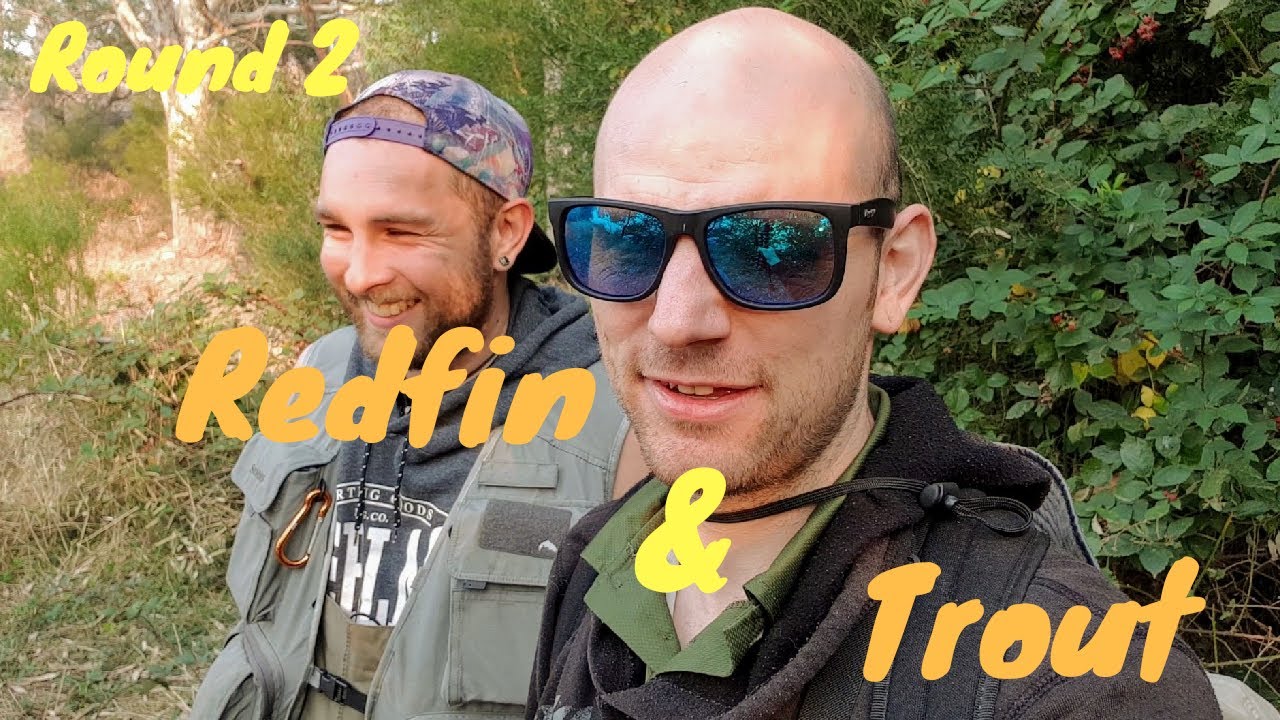Redfin & trout fishing Melbourne(English perch, redfin perch) using