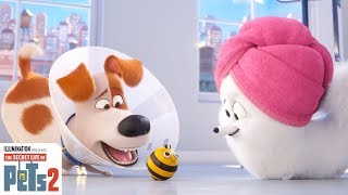 The Secret Life Of Pets 2 The Busy Bee Trailer