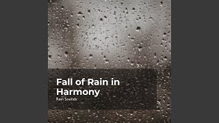 Rain Downpour Rhythm