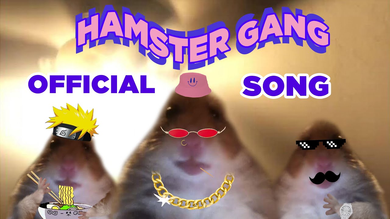 Hamster Gang Official Tiktok Song Youtube