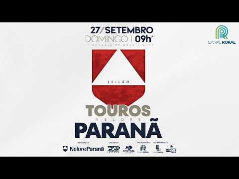 LOTE   06 ANP 4830 NOVO