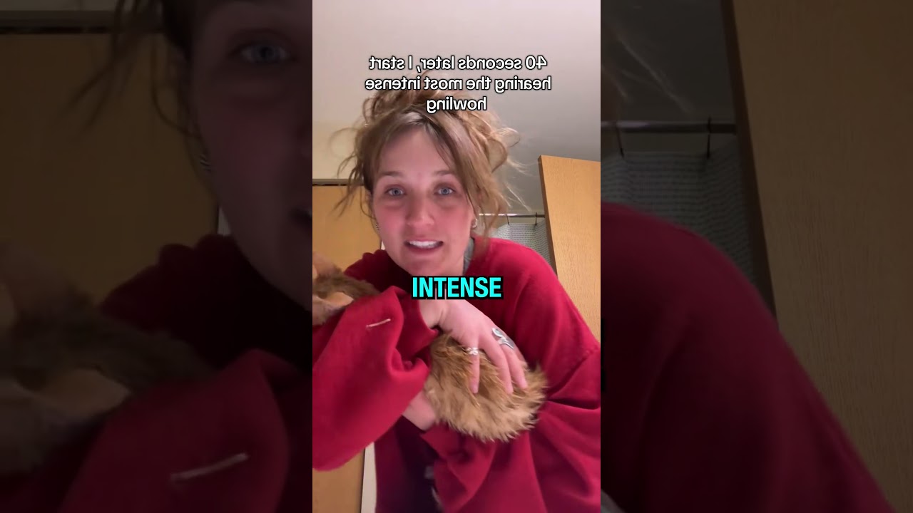 Cat Washing Machine 💔