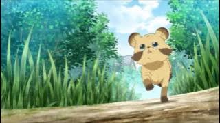 Poco's Udon World Full Opening with Video HD