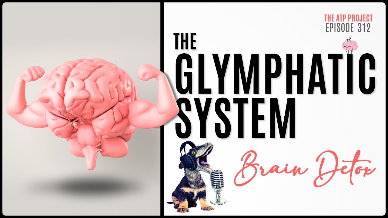The Glymphatic System | Detox for the Brain