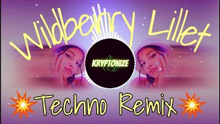 Nina Chuba - Wildberry Lillet (Kryptonize Techno Remix) Resimi