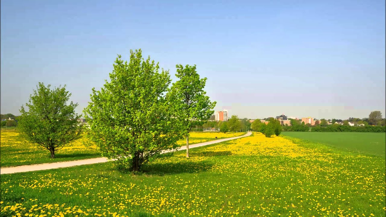 Hast du den rechten Kurs für dein Leben