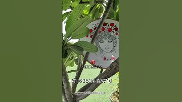 STITCHMAX LEADING SOFTWARE IN EMBROIDERY DESIGNING,  #stitchmax #embroiderypattern #design