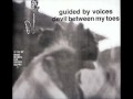 Guided by Voices - Captain's Dead