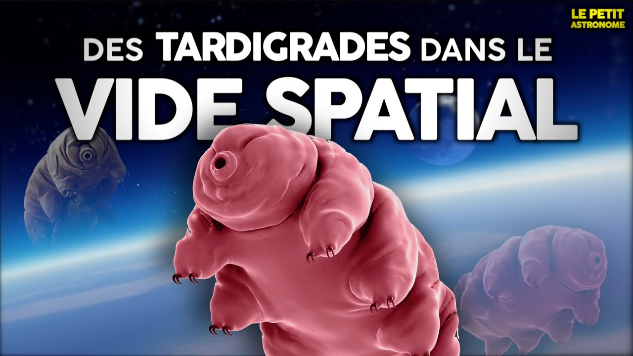 L'animal qui peut survivre dans l'espace YouTube — free download