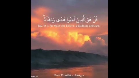 ولو جعلناه قرآنا أعجميا لقالوا لولا فصلت آياته أأعجمي وعربي