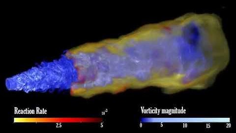 Direct numerical simulation of round jet lifted flames: Single-step chemistry, Lewis number of 1.0