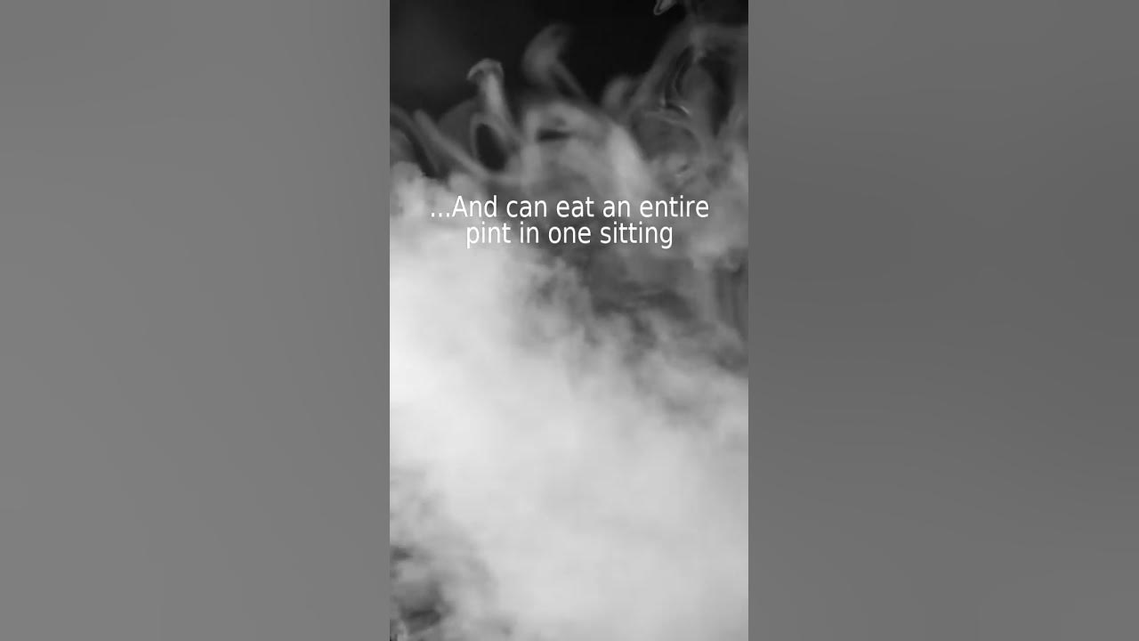 she-loves-to-eat-ice-cream-youtube