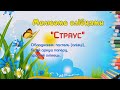 Малюємо олівцями (пастелью) - "Страус"