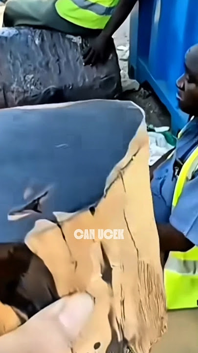 💎 The World’s Most Expensive Wood?! African Blackwood Explained! 🌍