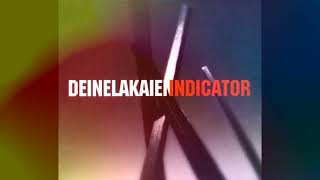 Deine Lakaien - On Your Stage Again (2010) [Indicator Album] - Dgthco