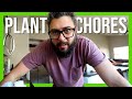 Plant chores  my pon routine and how i care for plants in semihydro