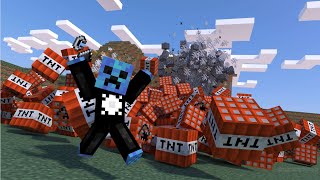 29791 TNT
