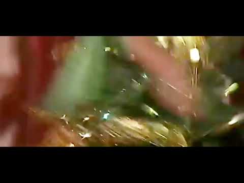 حسن الأسمر يا بلدي ياواد