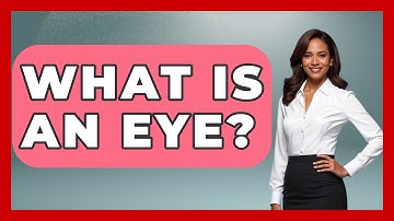 What Is An Eye? - Optometry Knowledge Base