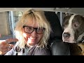 NYC LIVE Driving from Manhattan New York City to Florida Part 1  Road Trip w/Dog January 8, 2022