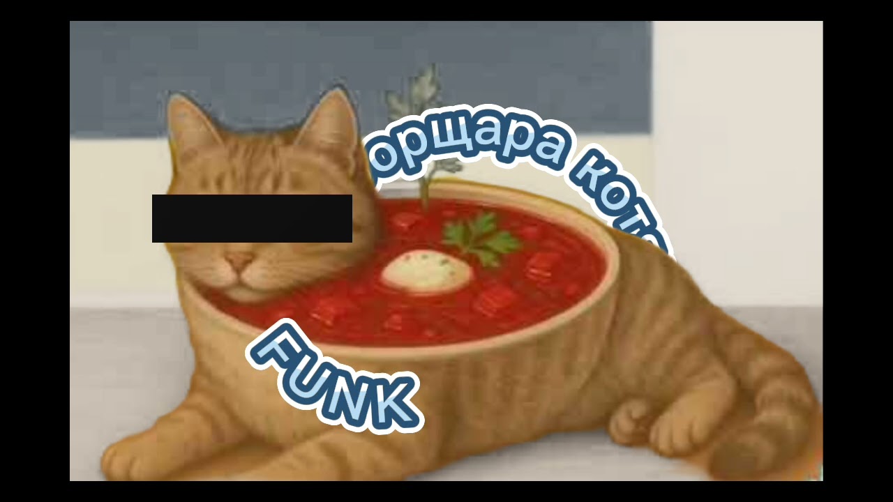 Dj malix - BORSHYARA KOTYARA FUNK