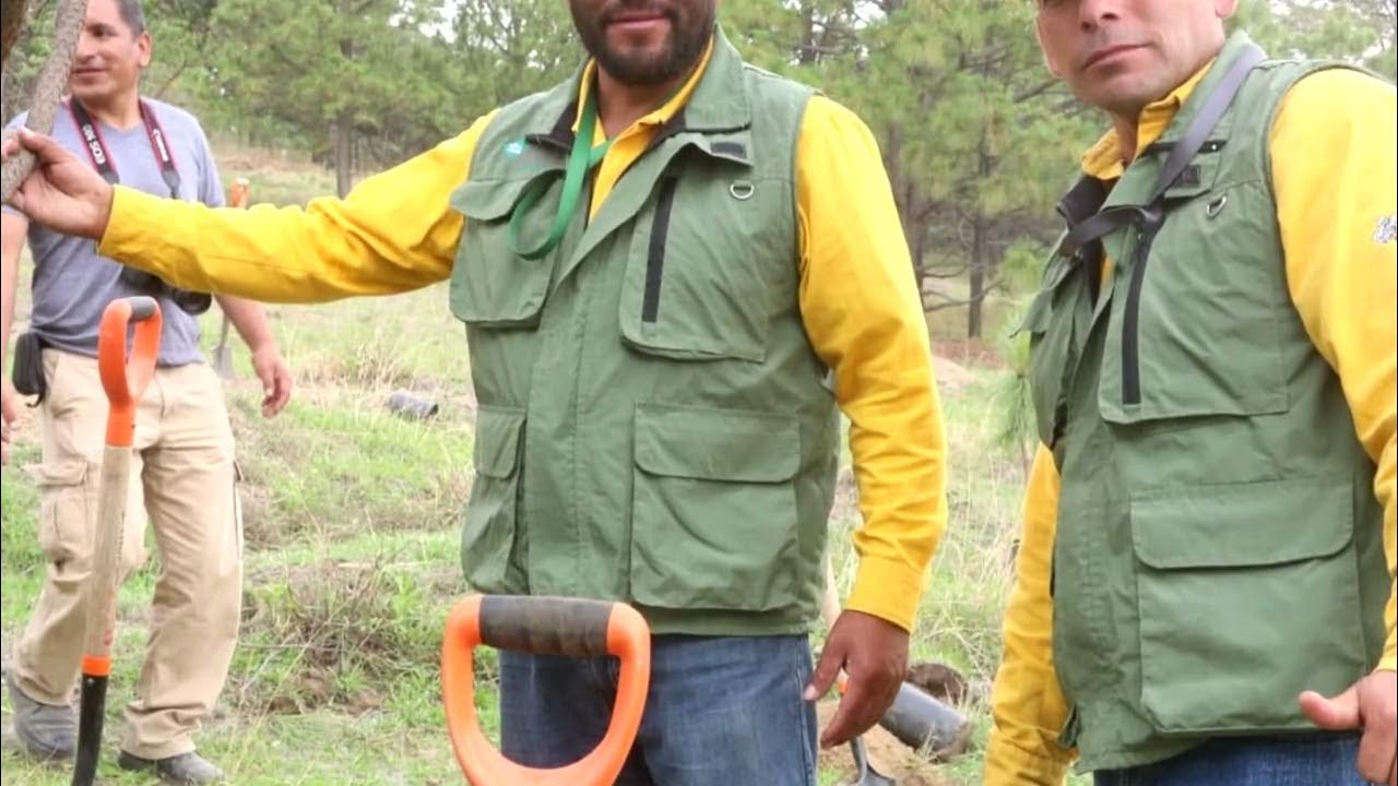 El gobernador inició en Tianguismanalco el Programa de Reforestación