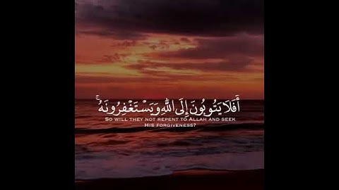 افلا يتوبون الى الله ويستغفرونه القارئ عبدالرحمن مسعد