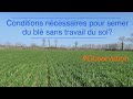 Conditions ncessaires pour semer du bl sans travail du sol