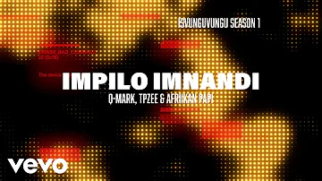 Q-Mark x TpZee x Afriikan Papi - Impilo Imnandi (Official Lyric Video)