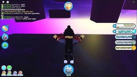 How to get Up the Hacker Portal on Pet Simulator X