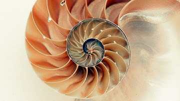 3 The Creation and Progression of Workshops - The Consciousness Podcast with Peter Ralston