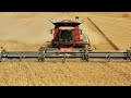 NEW 45ft MacDon FD245 FLEXDRAPER Harvesting Wheat