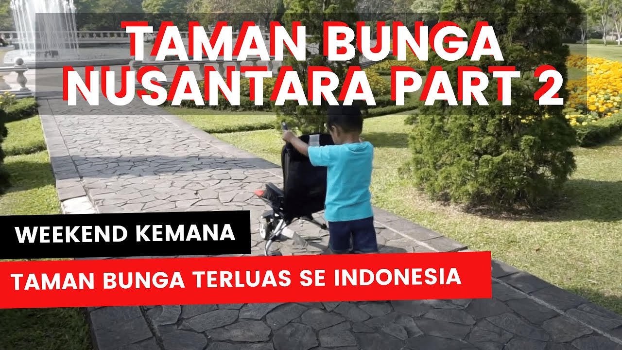  WEEKEND  KEMANA TAMAN  BUNGA  NUSANTARA  CIANJUR PART 2 