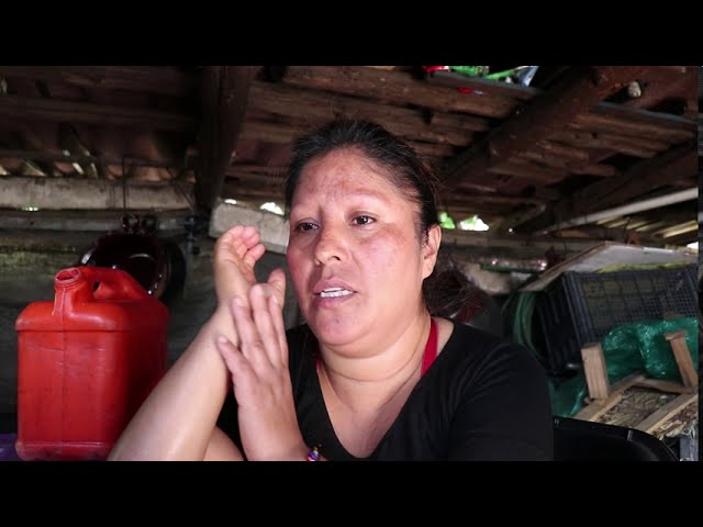 Los feminicidios de la pandemia