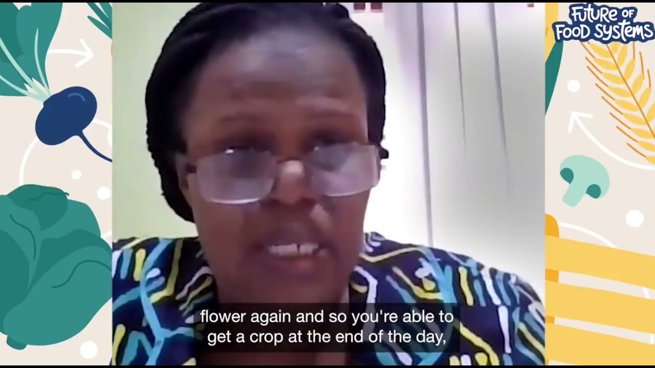 Future of Food Systems