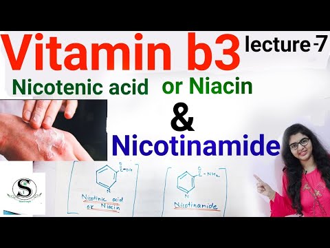 Video: Novocainamide - Petunjuk Penggunaan, Ampul, Tablet, Harga, Analog