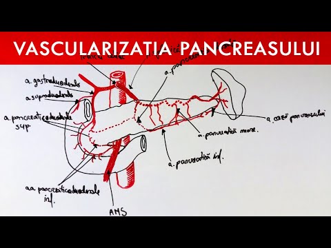 Video: Anatomia și Diagrama Pancreasului - Hărți De Corp