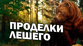 картинка: 🐻/ПРОДЕЛКИ ЛЕШЕГО / ТАЕЖНОЕ ПРИКЛЮЧЕНИЕ/