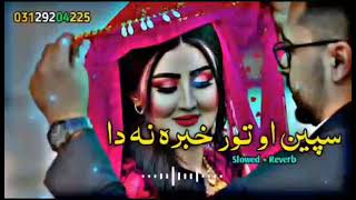 شاہ فاروق نوی سندرہ channel درہسرہ فولو کے 💋💋💋🤙👉