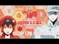 【公式】TVアニメ『はたらく細胞』オープニングテーマCD発売告知CM | NOW ON SALE!!