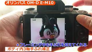 オリンパス OM-D E-M10(カメラのキタムラ動画_OLYMPUS)