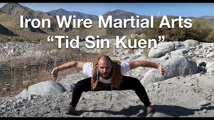 💥 Tid Sin Kuen 鐵綫拳 (Iron Wire Martial Arts)